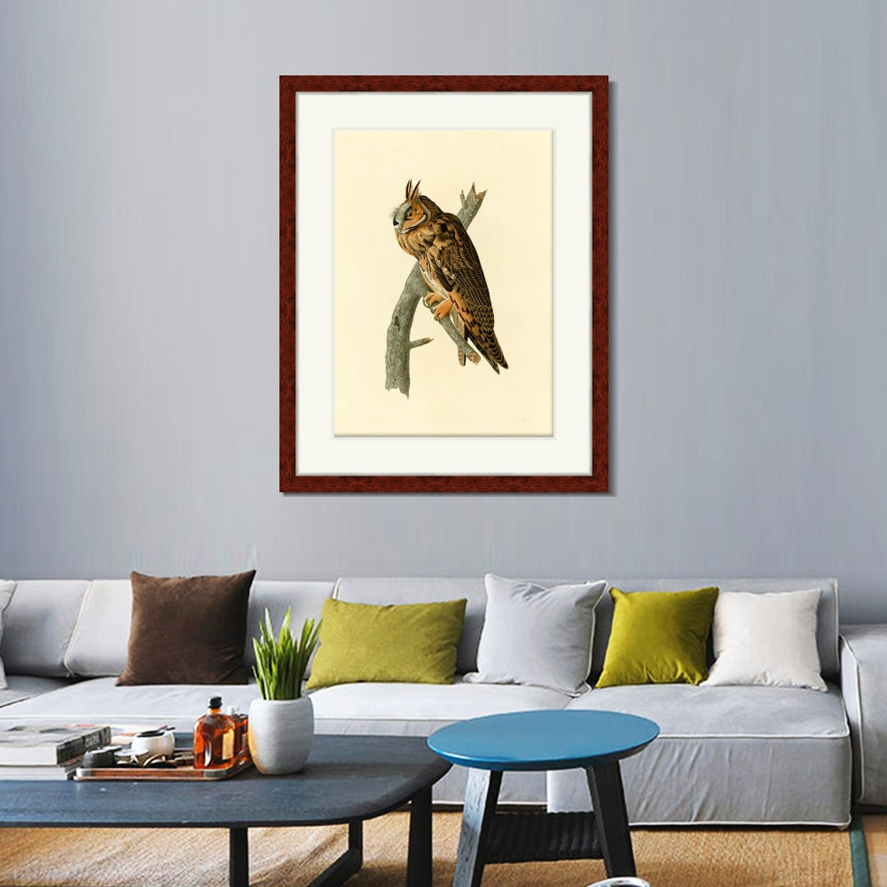 INVIN ART Framed Canvas Art Giclee Print Long eared Owl by John James Audubon  Home Office Wall Art Decorations