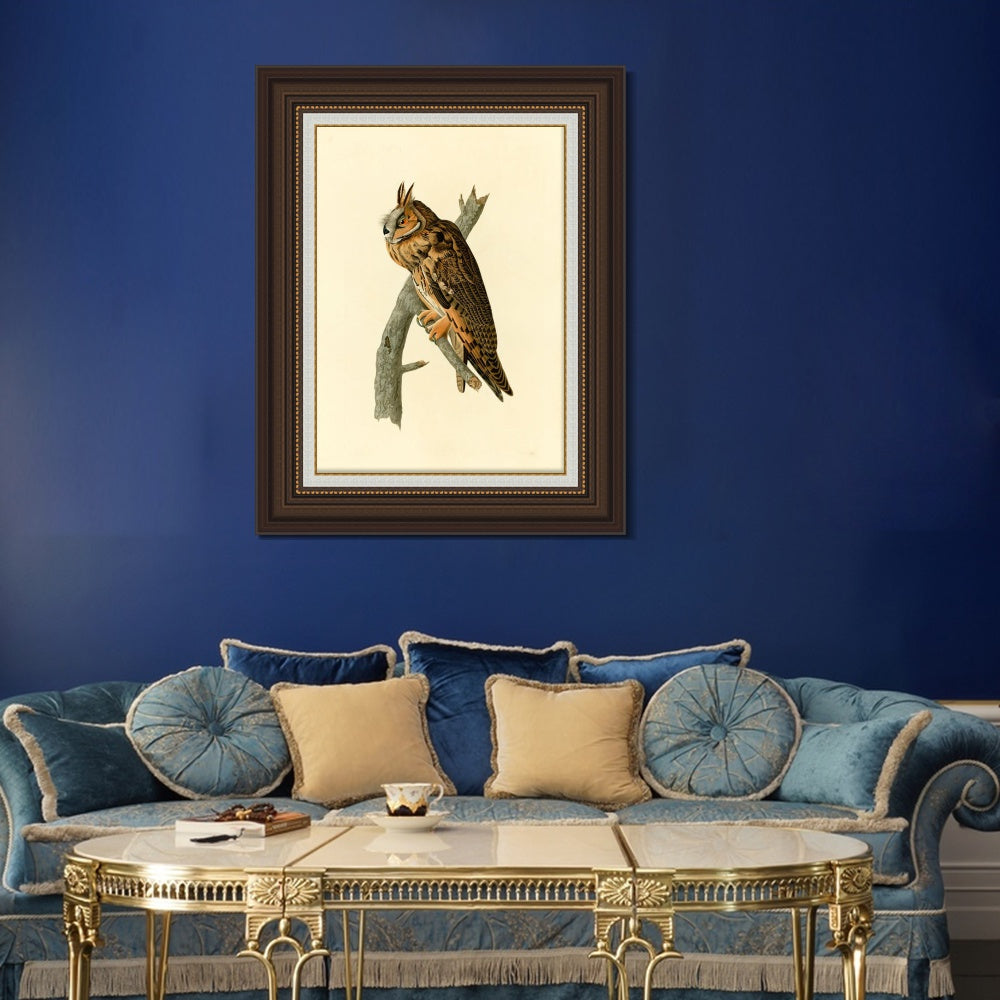INVIN ART Framed Canvas Art Giclee Print Long eared Owl by John James Audubon  Home Office Wall Art Decorations
