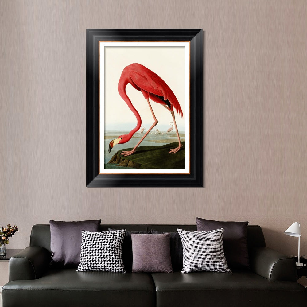 INVIN ART Framed Canvas Art Giclee Print American Flamingo by John James Audubon  Home Office Wall Art Decorations