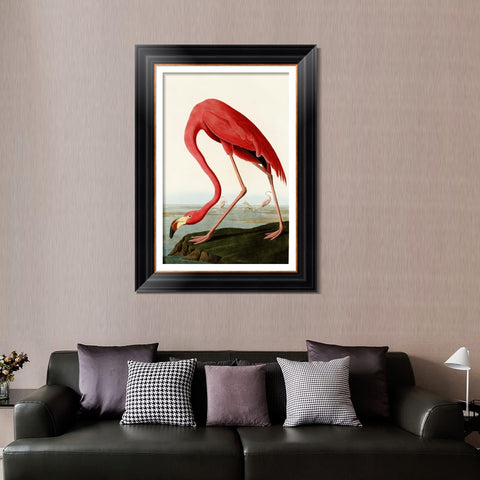 INVIN ART Framed Canvas Art Giclee Print American Flamingo by John James Audubon Living Room Home Office Wall Art Decorations