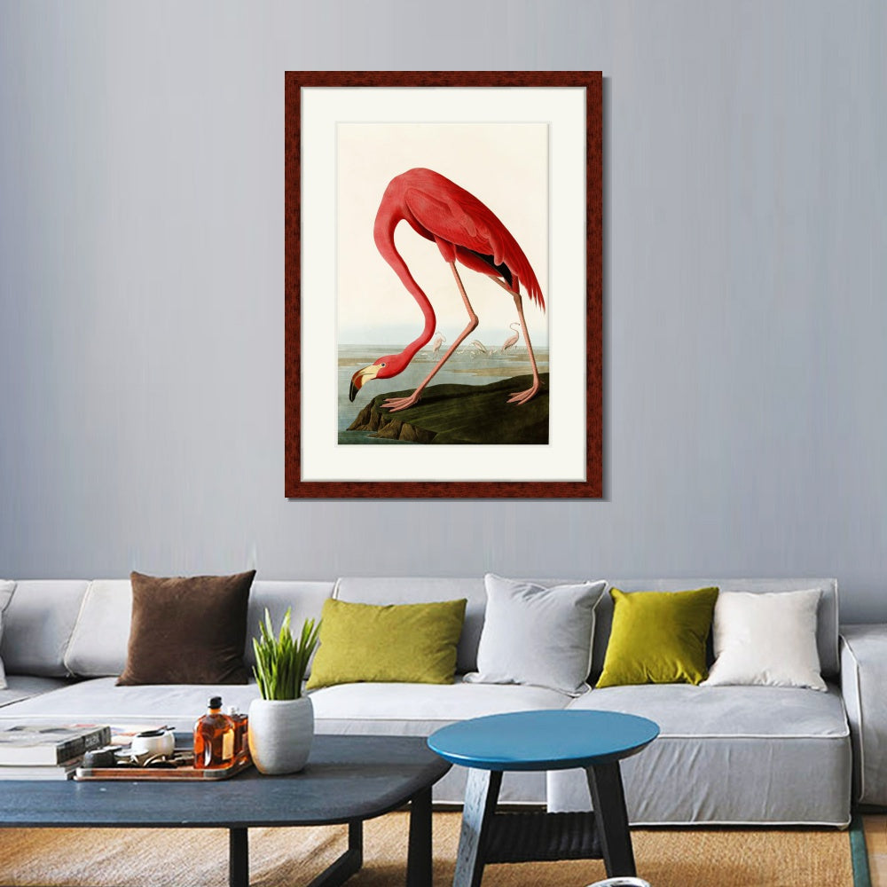 INVIN ART Framed Canvas Art Giclee Print American Flamingo by John James Audubon  Home Office Wall Art Decorations