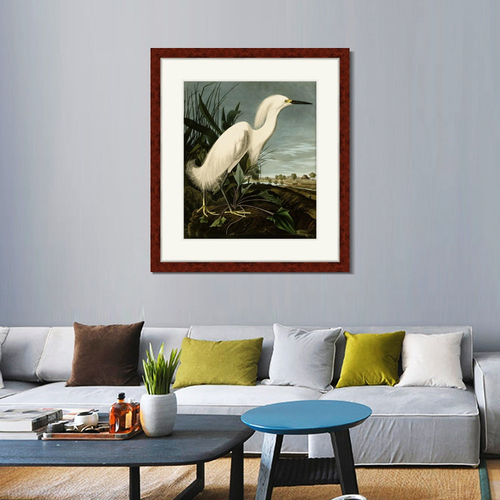 INVIN ART Framed Canvas Art Giclee Print Snowy Heron or White Egret by John James Audubon  Home Office Wall Art Decorations