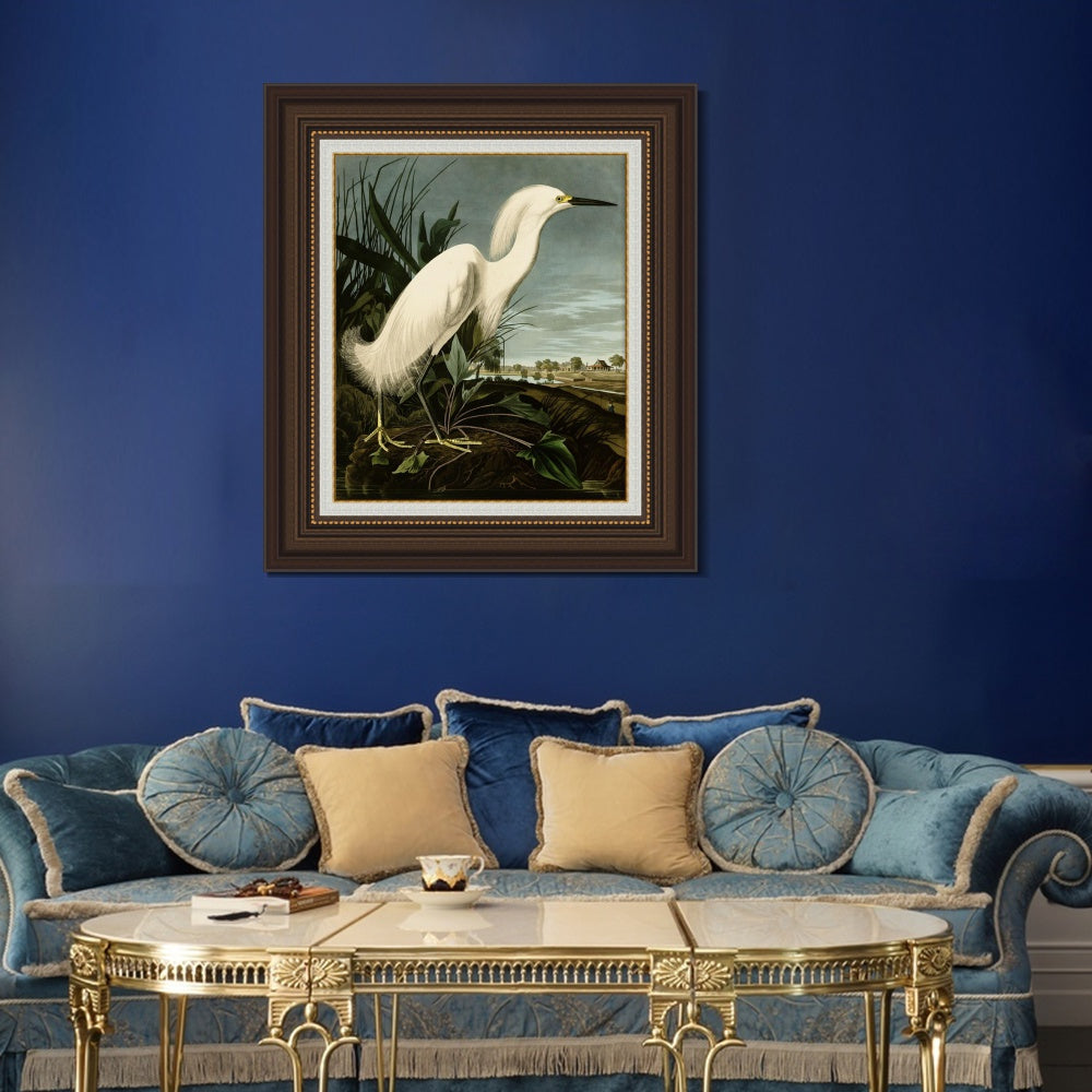 INVIN ART Framed Canvas Art Giclee Print Snowy Heron or White Egret by John James Audubon  Home Office Wall Art Decorations