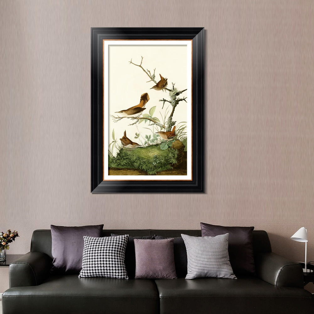 INVIN ART Framed Canvas Art Giclee Print Series#136 by John James Audubon  Home Office Wall Art Decorations
