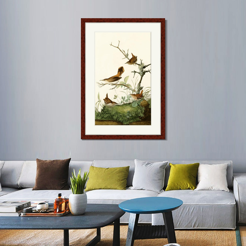 INVIN ART Framed Canvas Art Giclee Print Series#136 by John James Audubon  Home Office Wall Art Decorations