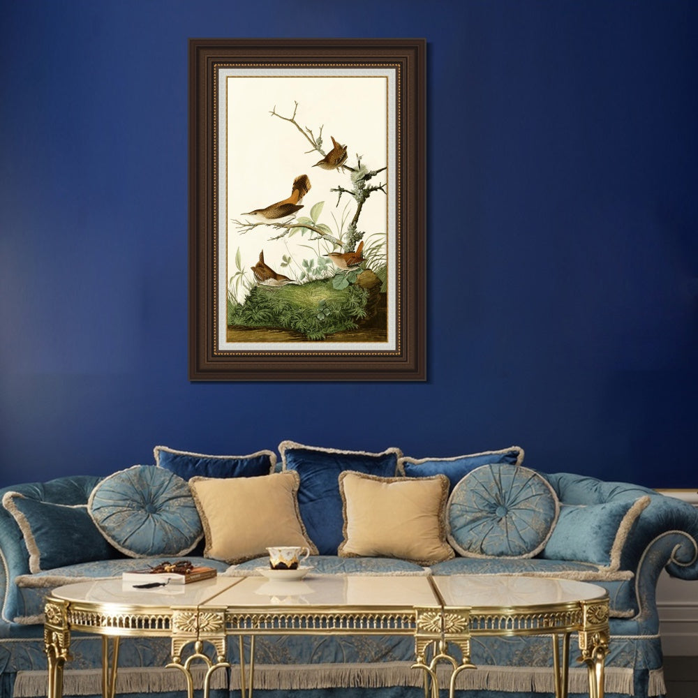 INVIN ART Framed Canvas Art Giclee Print Series#136 by John James Audubon  Home Office Wall Art Decorations