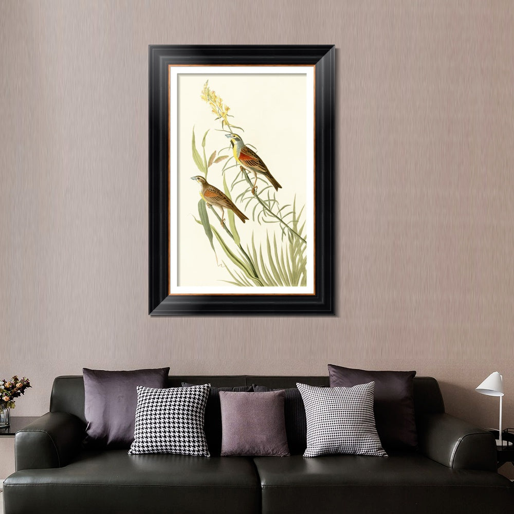 INVIN ART Framed Canvas Art Giclee Print Series#137 by John James Audubon  Home Office Wall Art Decorations
