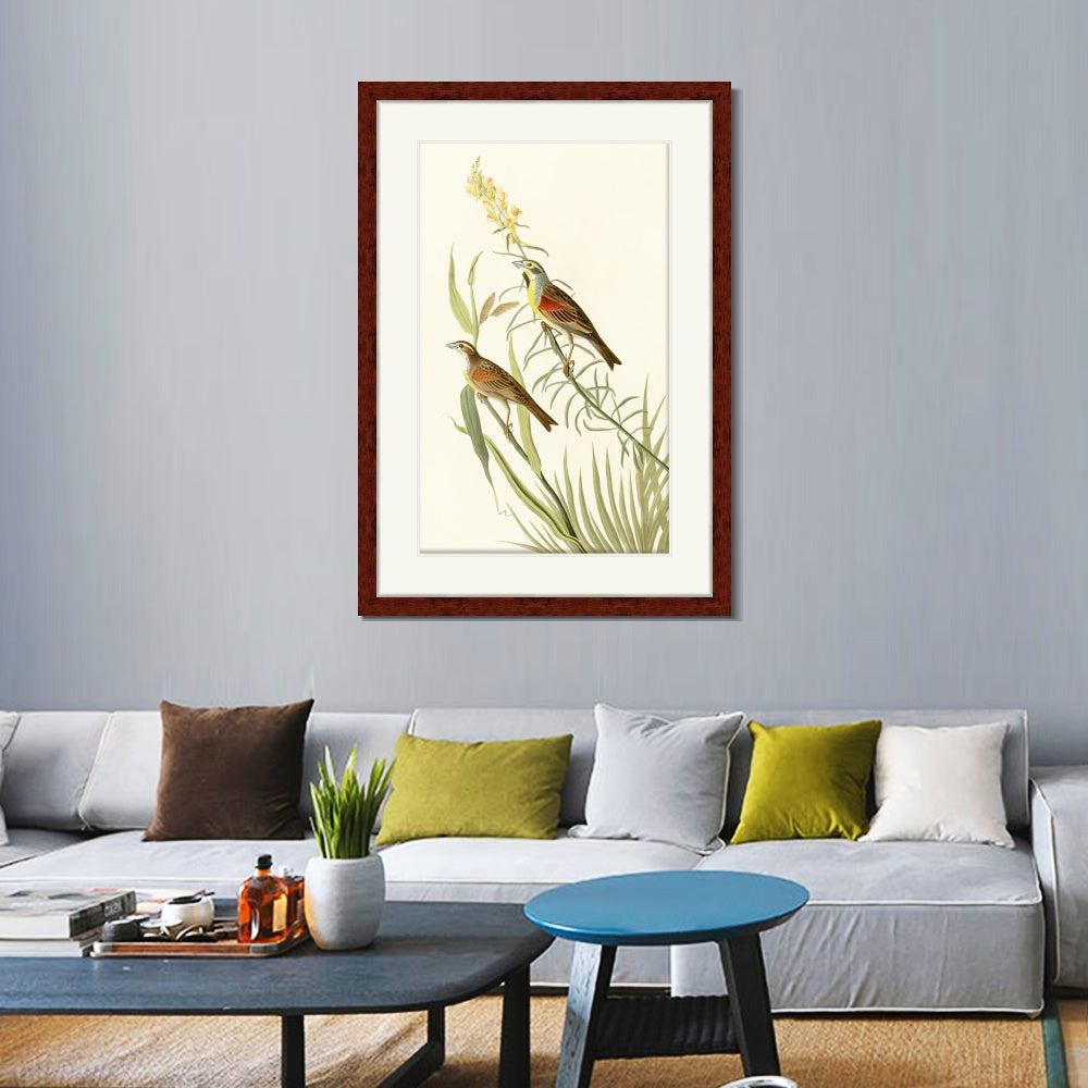 INVIN ART Framed Canvas Art Giclee Print Series#137 by John James Audubon  Home Office Wall Art Decorations