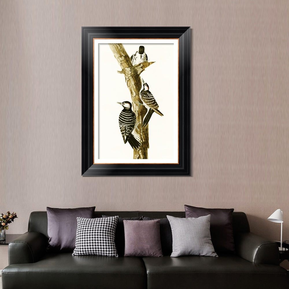 INVIN ART Framed Canvas Art Giclee Print Series#138 by John James Audubon  Home Office Wall Art Decorations
