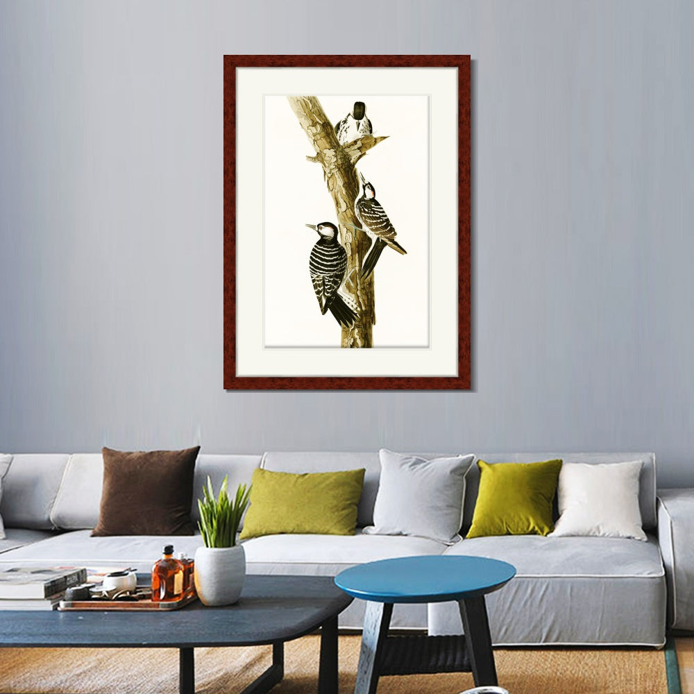 INVIN ART Framed Canvas Art Giclee Print Series#138 by John James Audubon  Home Office Wall Art Decorations