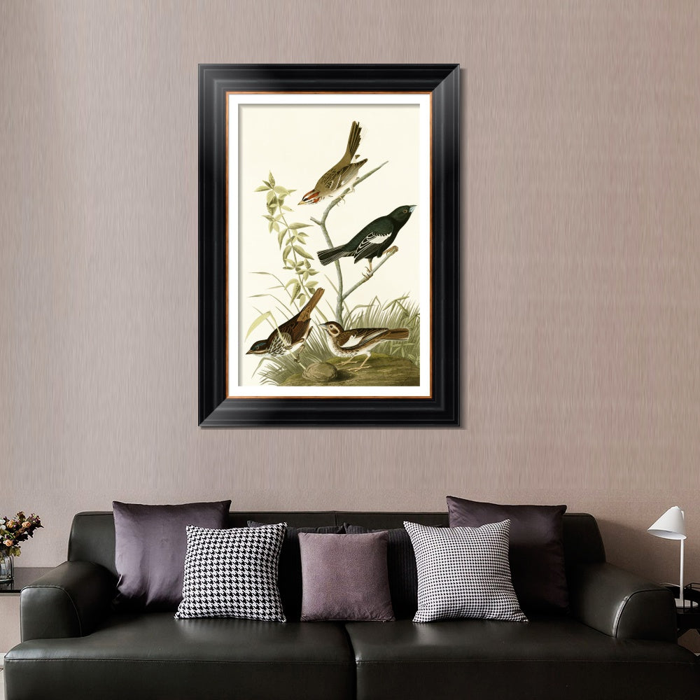 INVIN ART Framed Canvas Art Giclee Print Series#139 by John James Audubon  Home Office Wall Art Decorations