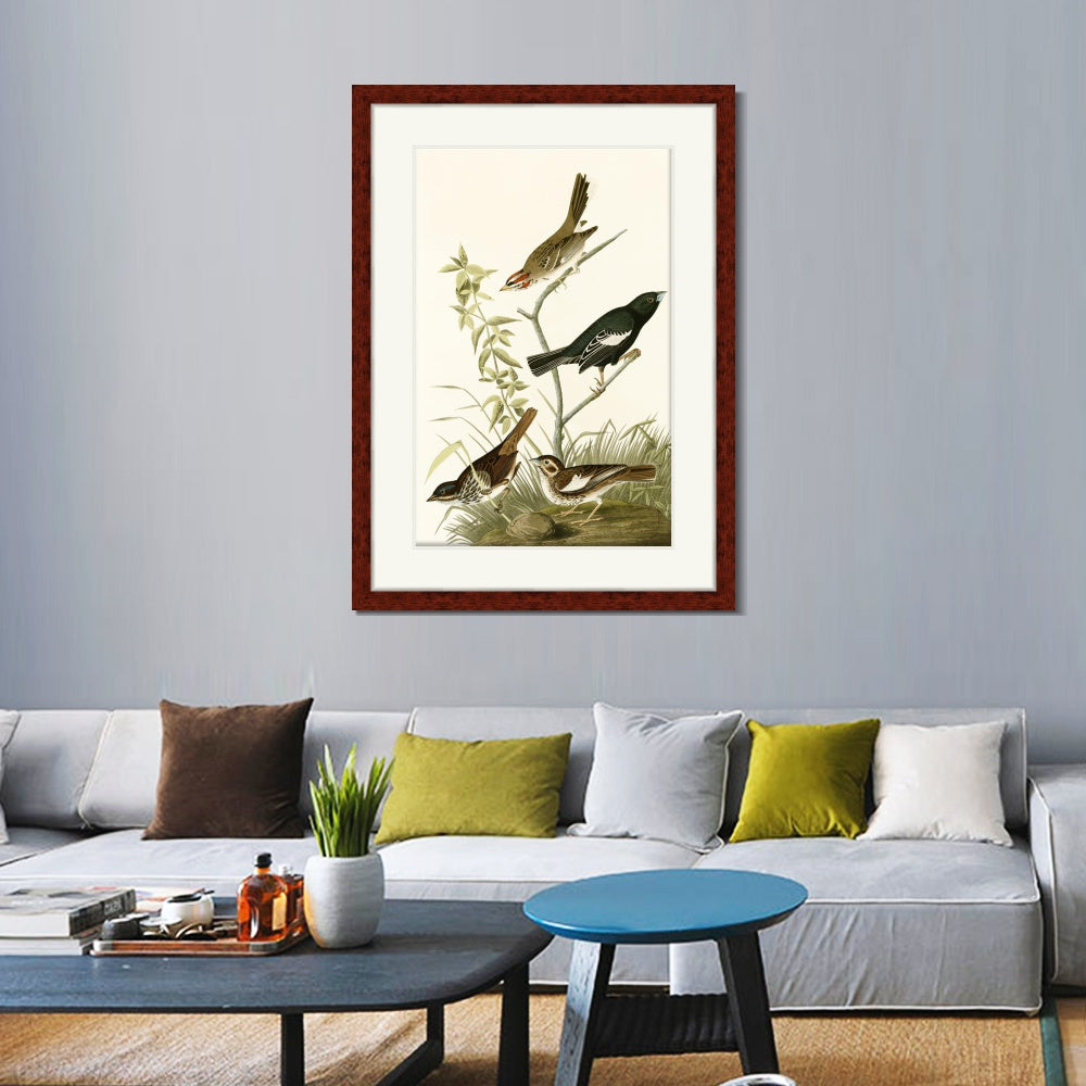 INVIN ART Framed Canvas Art Giclee Print Series#139 by John James Audubon  Home Office Wall Art Decorations