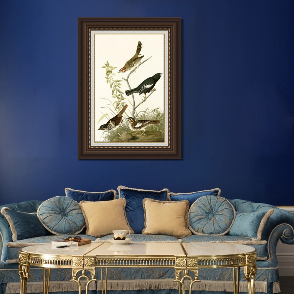 INVIN ART Framed Canvas Art Giclee Print Series#139 by John James Audubon  Home Office Wall Art Decorations