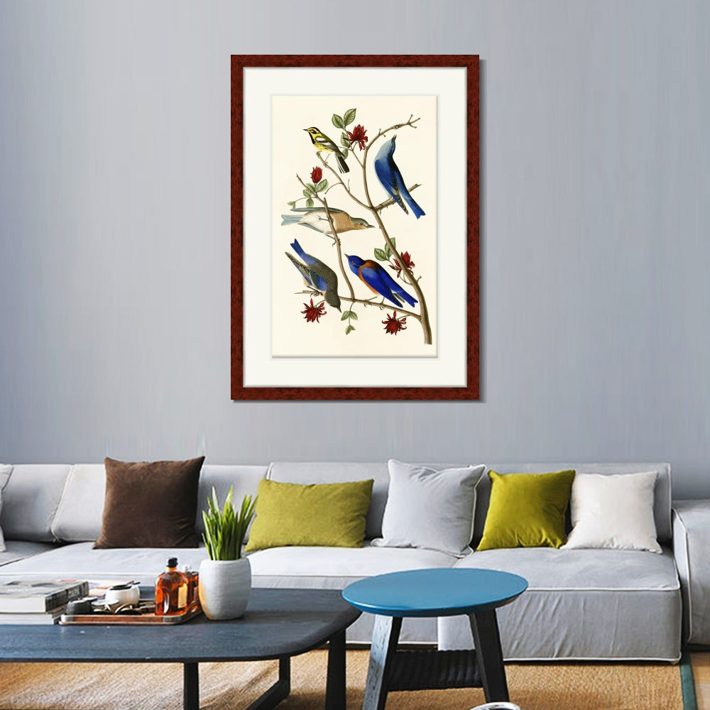 INVIN ART Framed Canvas Art Giclee Print Series#140 by John James Audubon  Home Office Wall Art Decorations