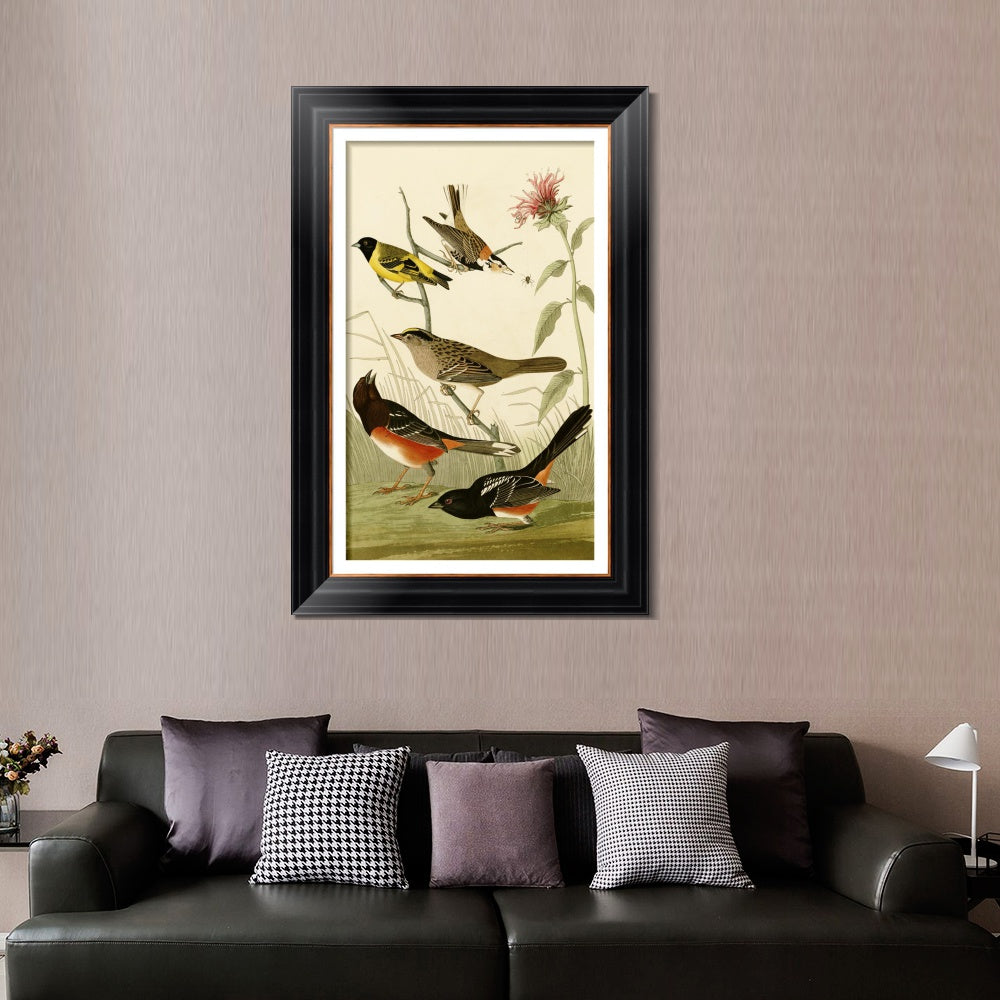 INVIN ART Framed Canvas Art Giclee Print Series#141 by John James Audubon  Home Office Wall Art Decorations