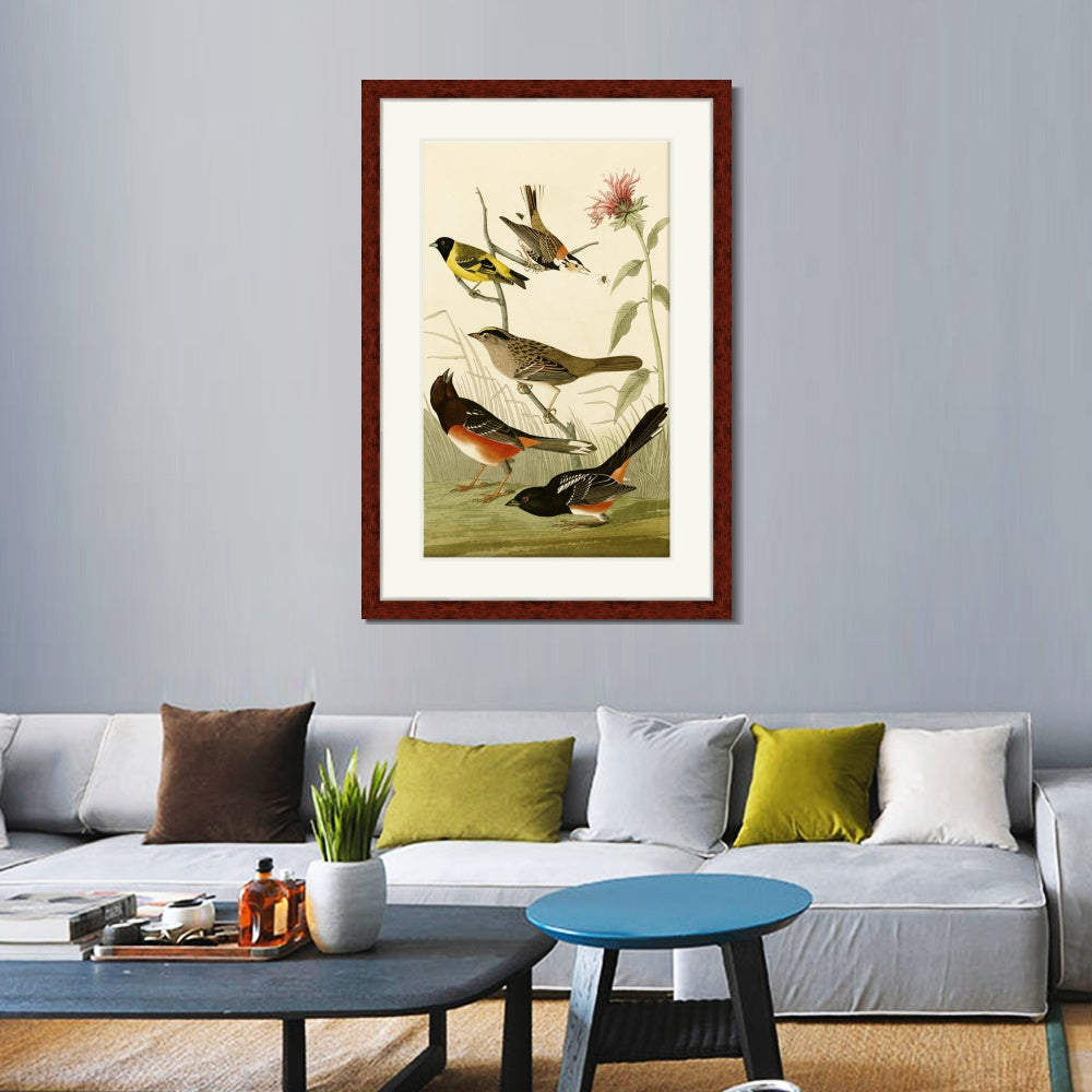INVIN ART Framed Canvas Art Giclee Print Series#141 by John James Audubon  Home Office Wall Art Decorations