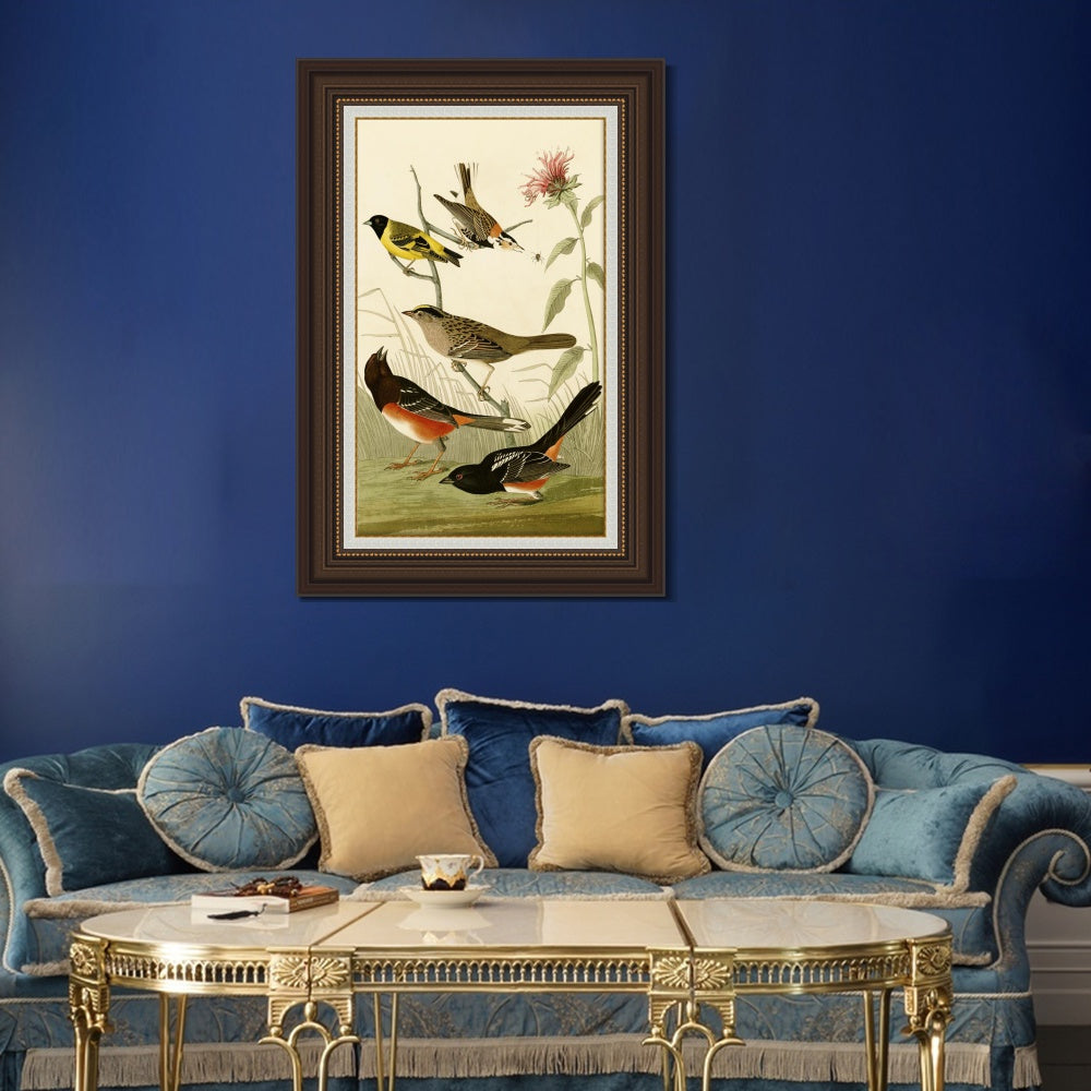INVIN ART Framed Canvas Art Giclee Print Series#141 by John James Audubon  Home Office Wall Art Decorations