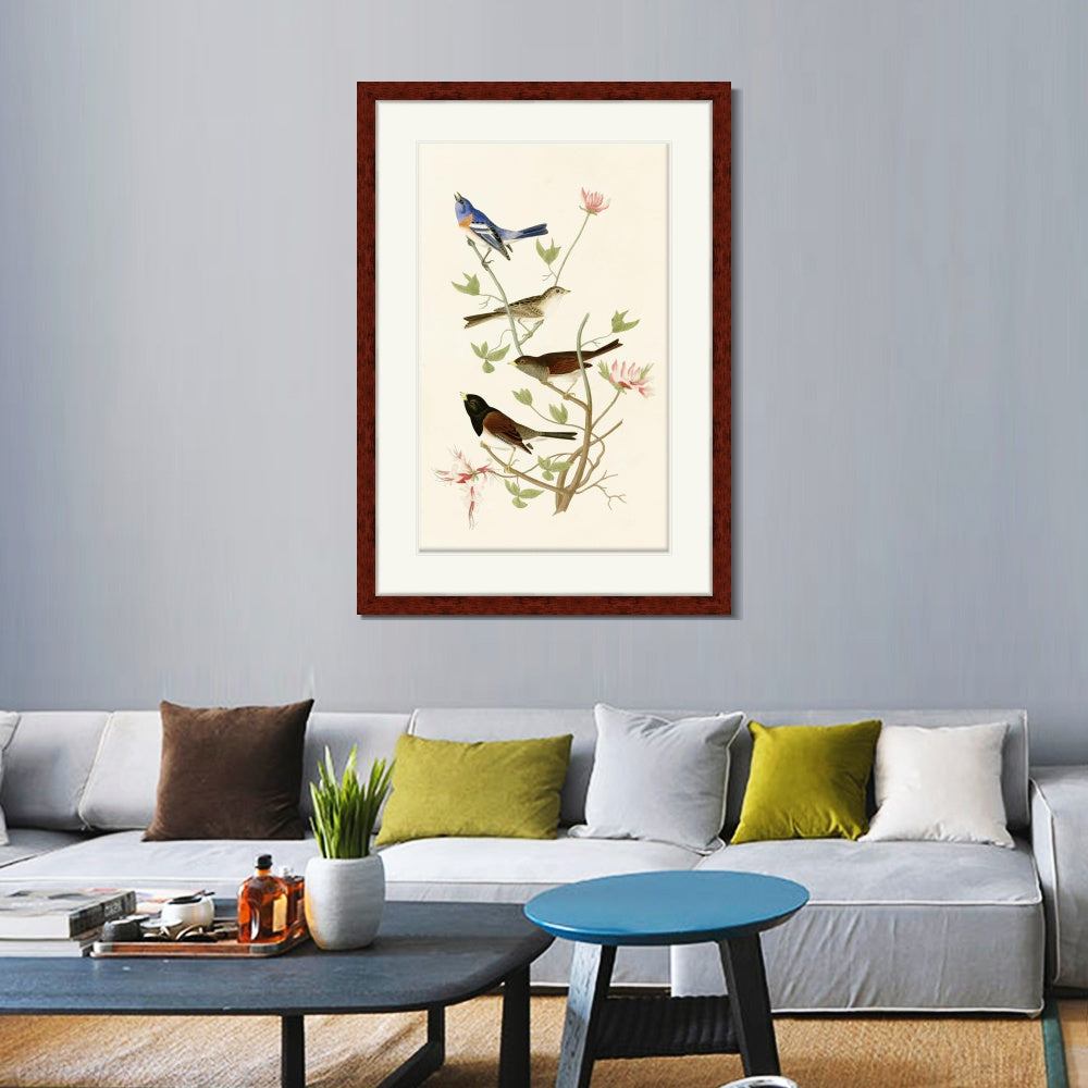 INVIN ART Framed Canvas Art Giclee Print Series#143 by John James Audubon  Home Office Wall Art Decorations