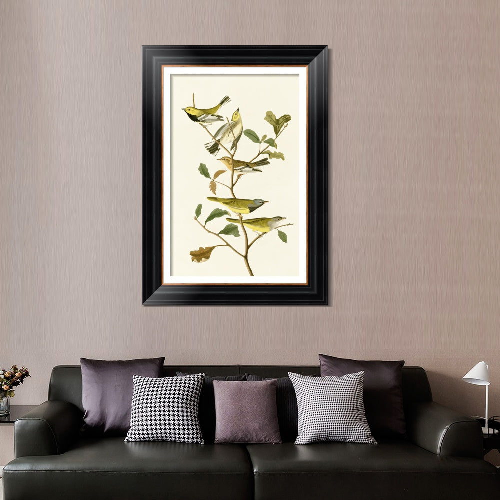 INVIN ART Framed Canvas Art Giclee Print Series#144 by John James Audubon  Home Office Wall Art Decorations