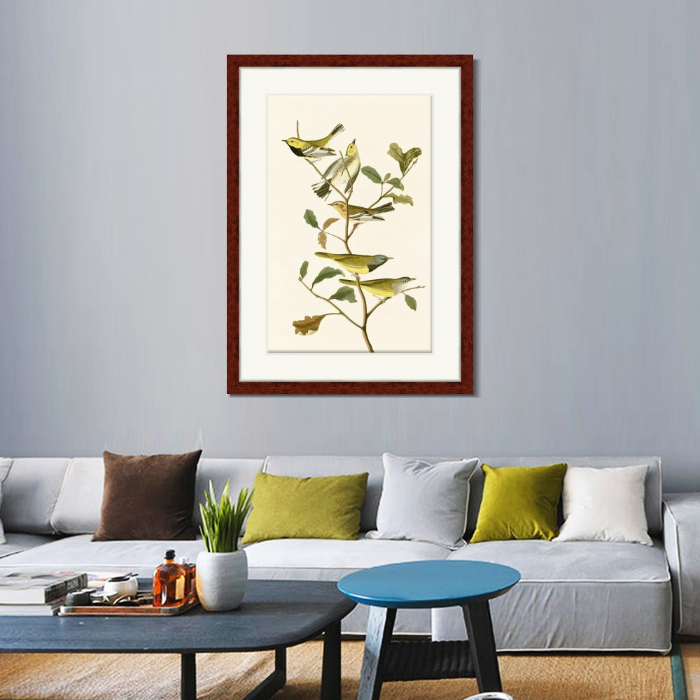 INVIN ART Framed Canvas Art Giclee Print Series#144 by John James Audubon  Home Office Wall Art Decorations