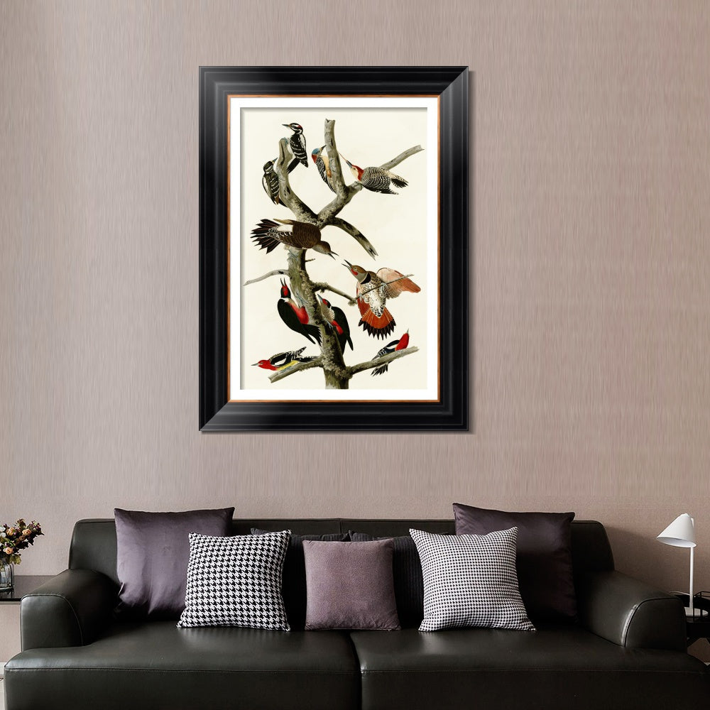 INVIN ART Framed Canvas Art Giclee Print Series#145 by John James Audubon  Home Office Wall Art Decorations