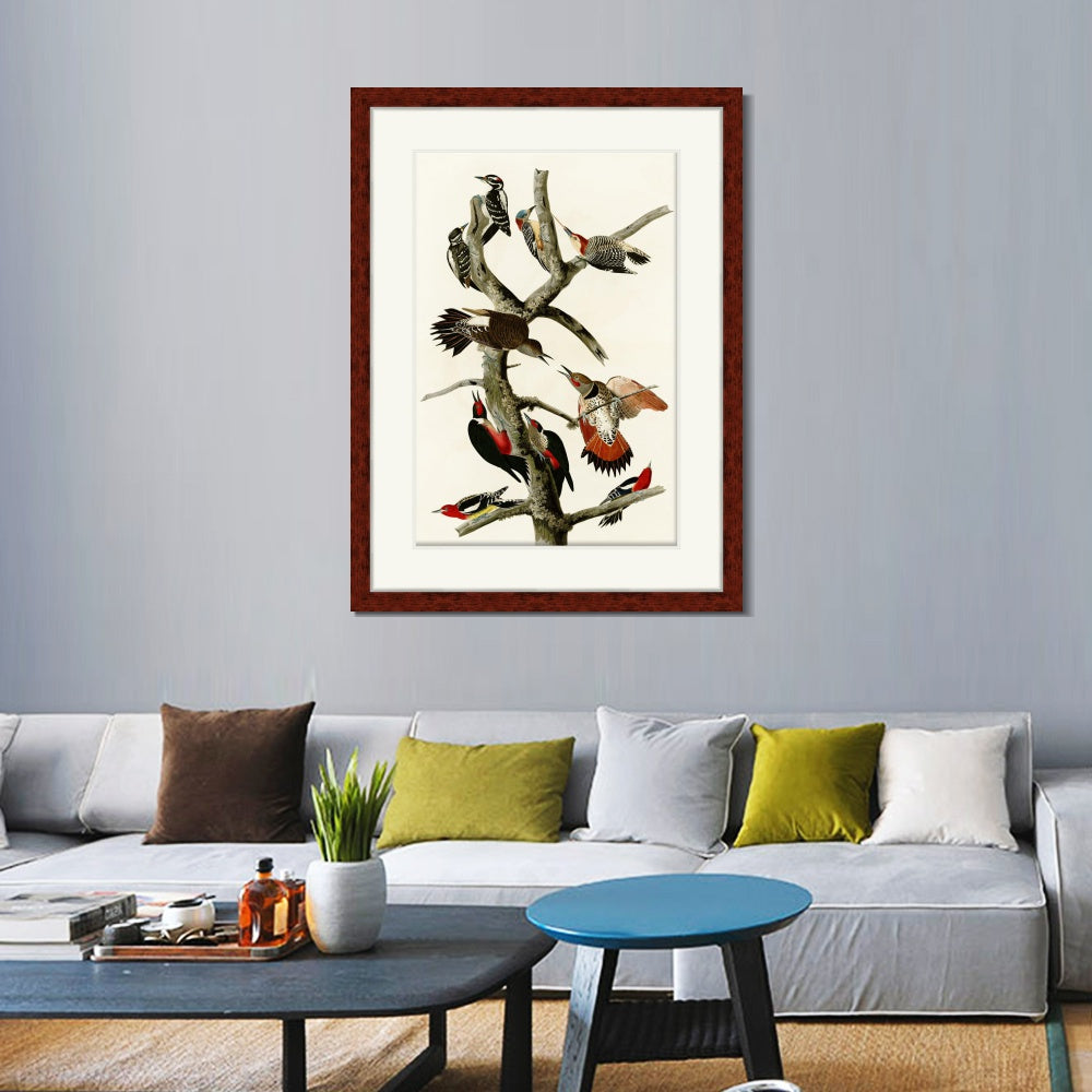 INVIN ART Framed Canvas Art Giclee Print Series#145 by John James Audubon  Home Office Wall Art Decorations