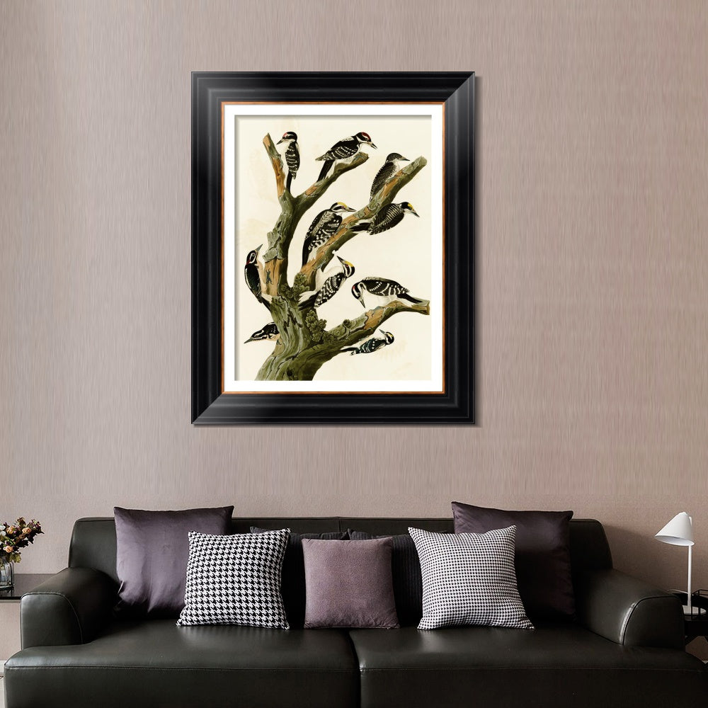 INVIN ART Framed Canvas Art Giclee Print Series#146 by John James Audubon  Home Office Wall Art Decorations