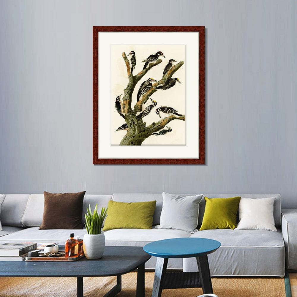 INVIN ART Framed Canvas Art Giclee Print Series#146 by John James Audubon  Home Office Wall Art Decorations