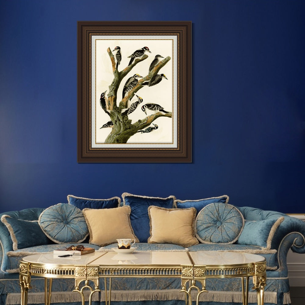 INVIN ART Framed Canvas Art Giclee Print Series#146 by John James Audubon  Home Office Wall Art Decorations