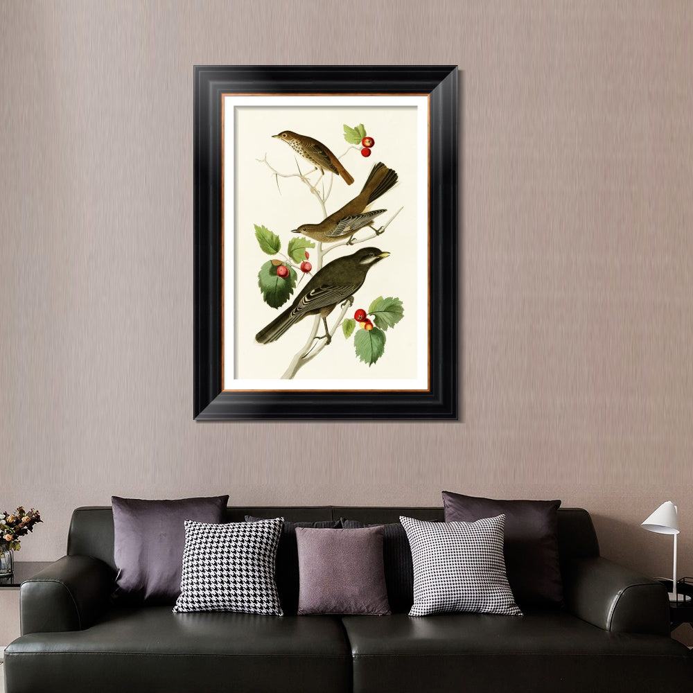 INVIN ART Framed Canvas Art Giclee Print Series#147 by John James Audubon  Home Office Wall Art Decorations