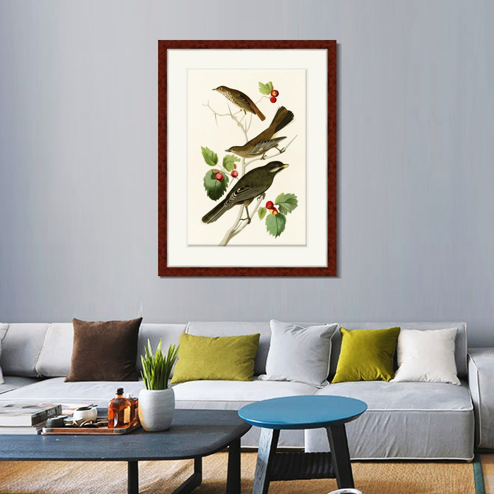 INVIN ART Framed Canvas Art Giclee Print Series#147 by John James Audubon  Home Office Wall Art Decorations