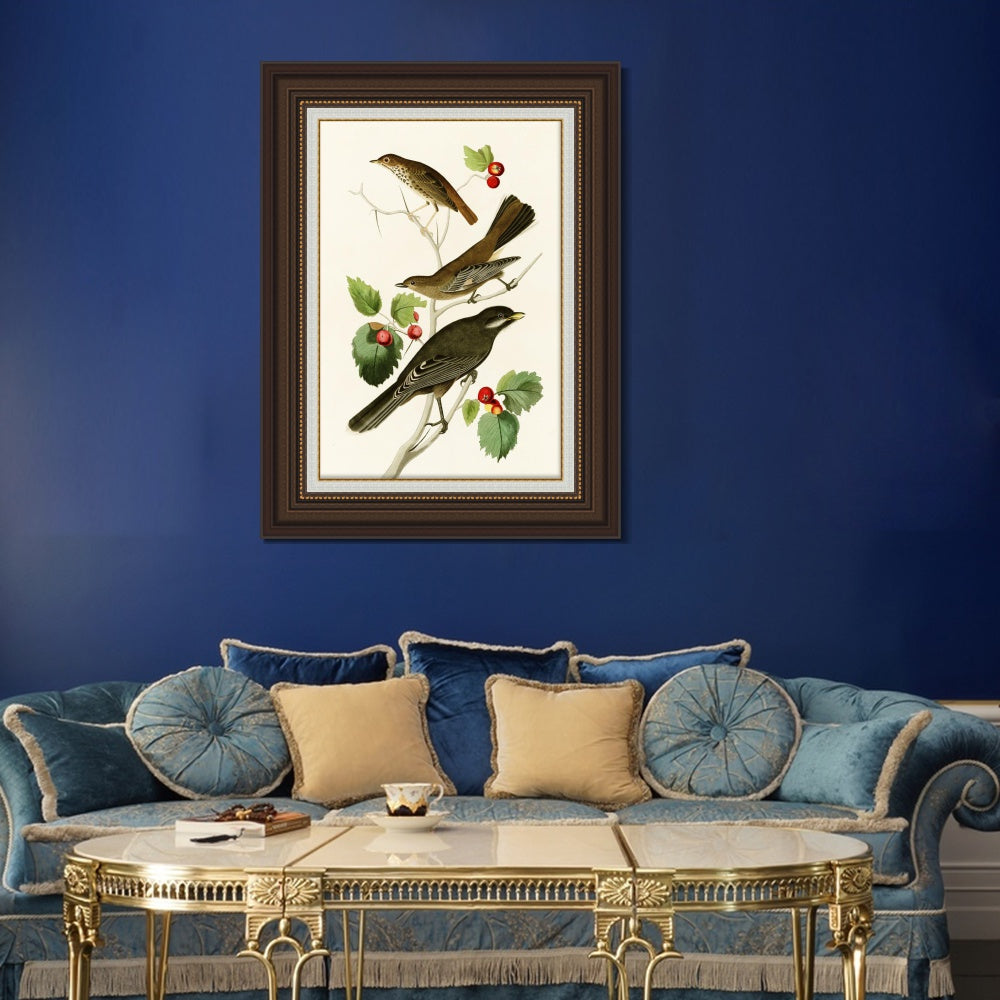 INVIN ART Framed Canvas Art Giclee Print Series#147 by John James Audubon  Home Office Wall Art Decorations