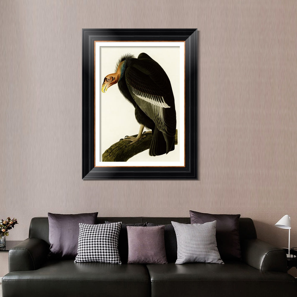 INVIN ART Framed Canvas Art Giclee Print Series#149 by John James Audubon  Home Office Wall Art Decorations