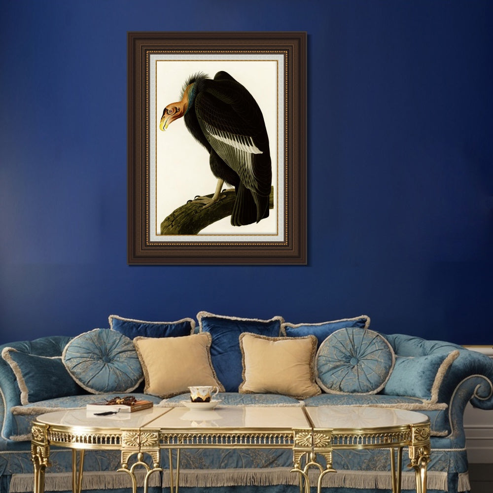 INVIN ART Framed Canvas Art Giclee Print Series#149 by John James Audubon  Home Office Wall Art Decorations