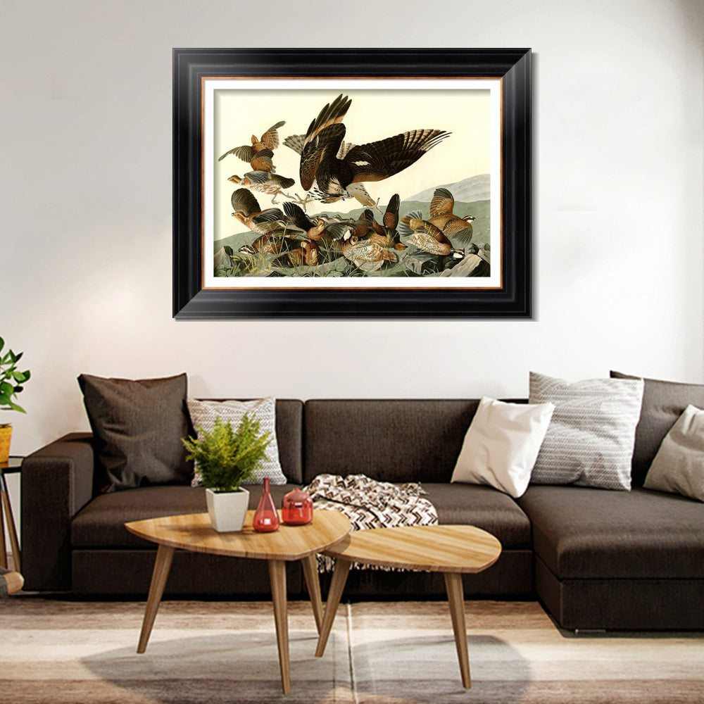 INVIN ART Framed Canvas Art Giclee Print Virginian_Partridge by John James Audubon  Home Office Wall Art Decorations
