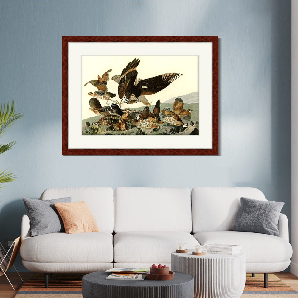 INVIN ART Framed Canvas Art Giclee Print Virginian_Partridge by John James Audubon  Home Office Wall Art Decorations