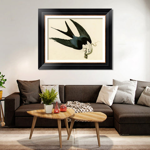INVIN ART Framed Canvas Art Giclee Print Swallow Tailed Hawk by John James Audubon Living Room Home Office Wall Art Decorations