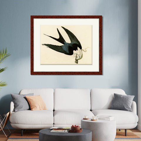 INVIN ART Framed Canvas Art Giclee Print Swallow Tailed Hawk by John James Audubon Living Room Home Office Wall Art Decorations