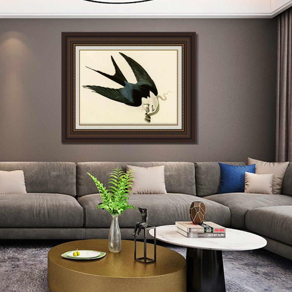 INVIN ART Framed Canvas Art Giclee Print Swallow Tailed Hawk by John James Audubon Living Room Home Office Wall Art Decorations