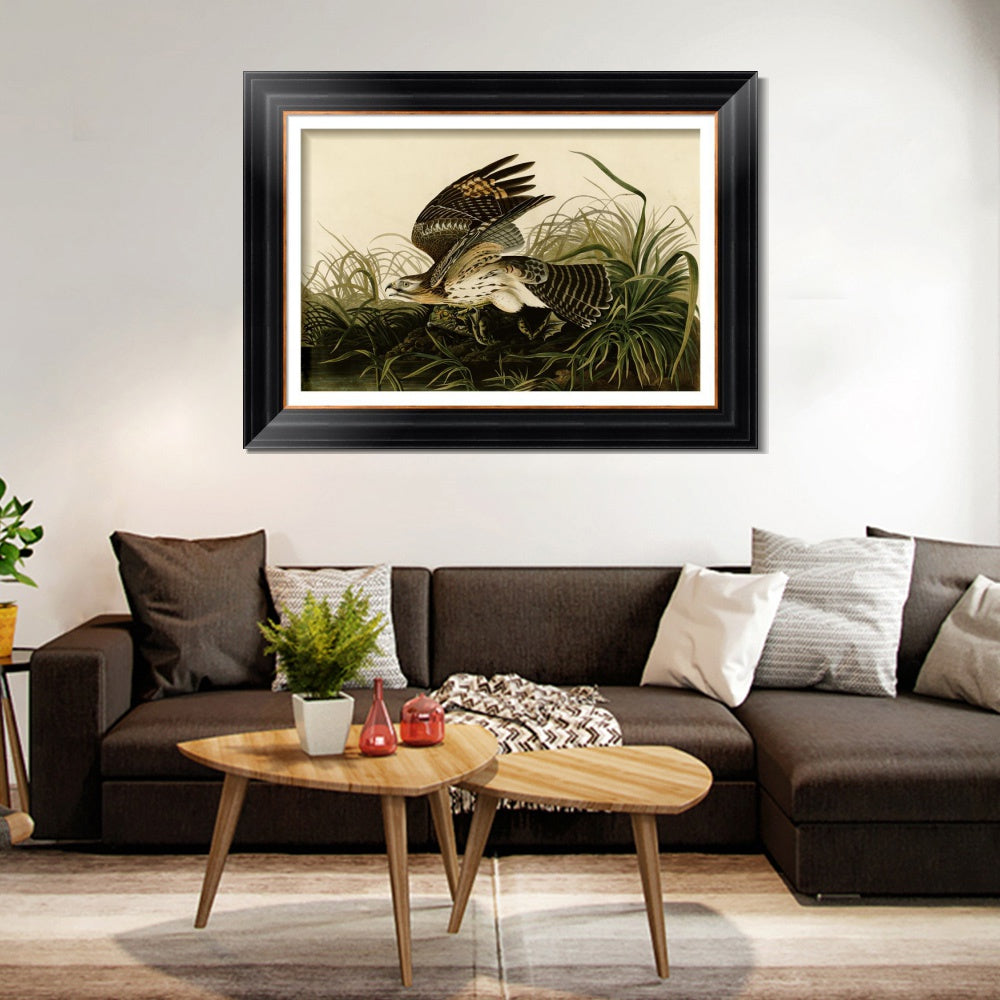 INVIN ART Framed Canvas Art Giclee Print Winter Hawk by John James Audubon  Home Office Wall Art Decorations