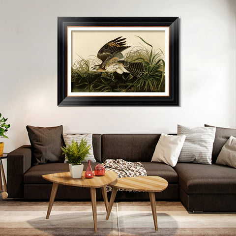 INVIN ART Framed Canvas Art Giclee Print Winter Hawk by John James Audubon Living Room Home Office Wall Art Decorations