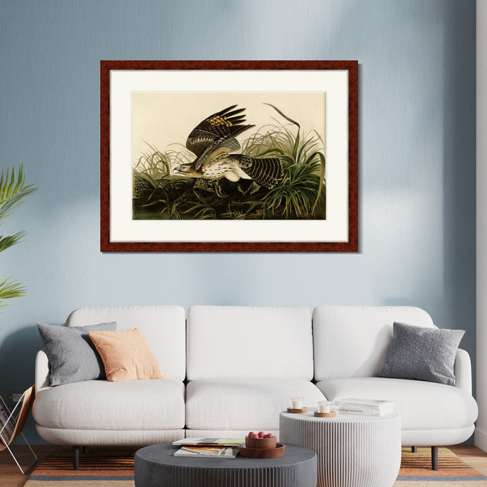 INVIN ART Framed Canvas Art Giclee Print Winter Hawk by John James Audubon  Home Office Wall Art Decorations