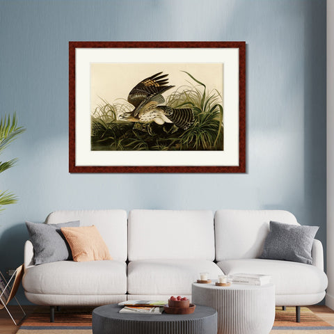 INVIN ART Framed Canvas Art Giclee Print Winter Hawk by John James Audubon Living Room Home Office Wall Art Decorations
