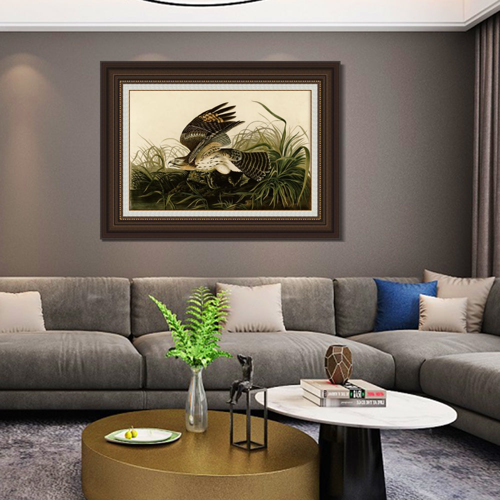 INVIN ART Framed Canvas Art Giclee Print Winter Hawk by John James Audubon  Home Office Wall Art Decorations