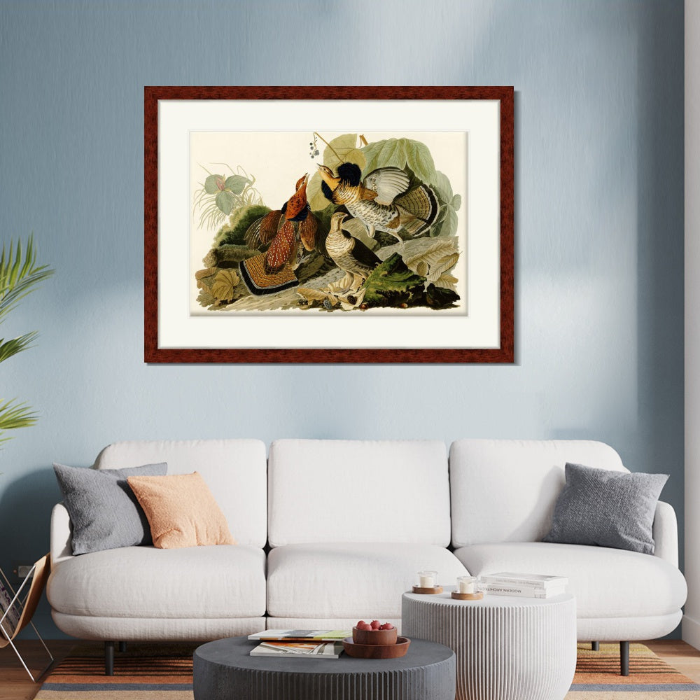 INVIN ART Framed Canvas Art Giclee Print Ruffed Grouse by John James Audubon  Home Office Wall Art Decorations