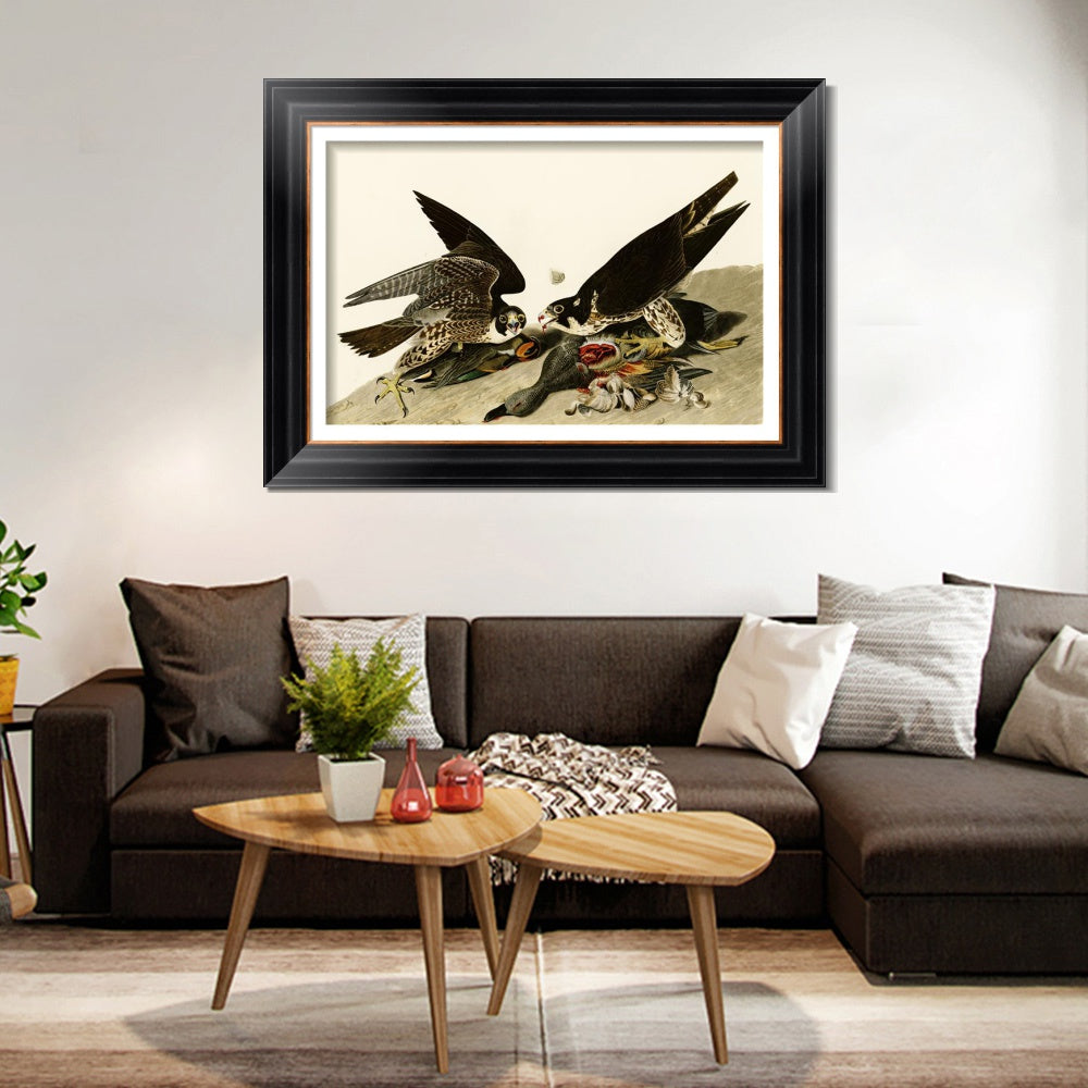 INVIN ART Framed Canvas Art Giclee Print Great Footed Hawk by John James Audubon  Home Office Wall Art Decorations