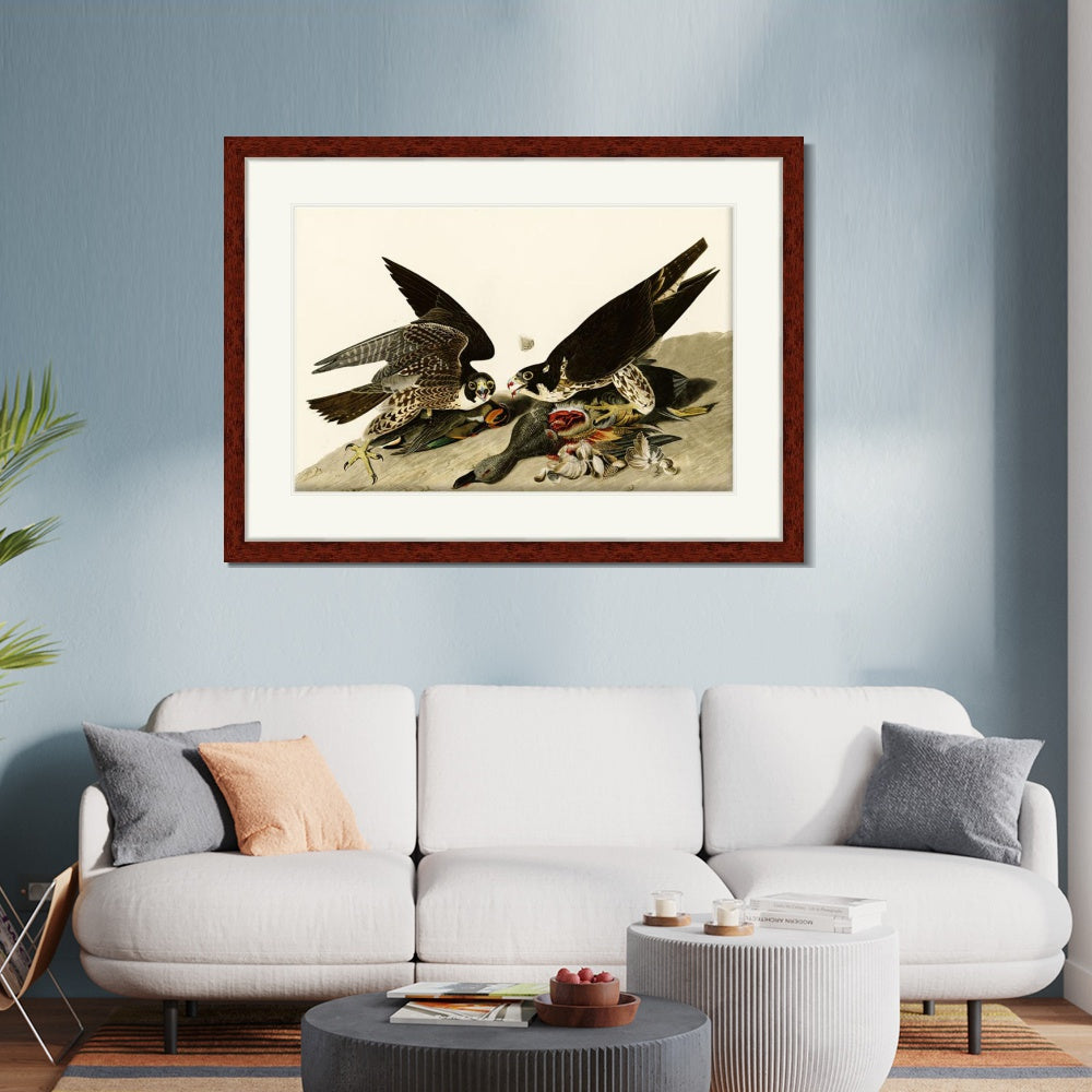 INVIN ART Framed Canvas Art Giclee Print Great Footed Hawk by John James Audubon  Home Office Wall Art Decorations