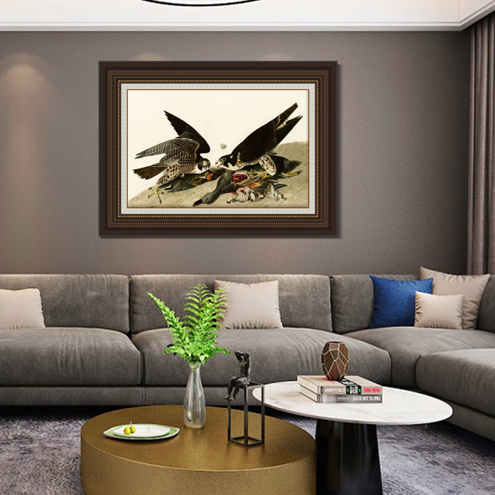 INVIN ART Framed Canvas Art Giclee Print Great Footed Hawk by John James Audubon  Home Office Wall Art Decorations