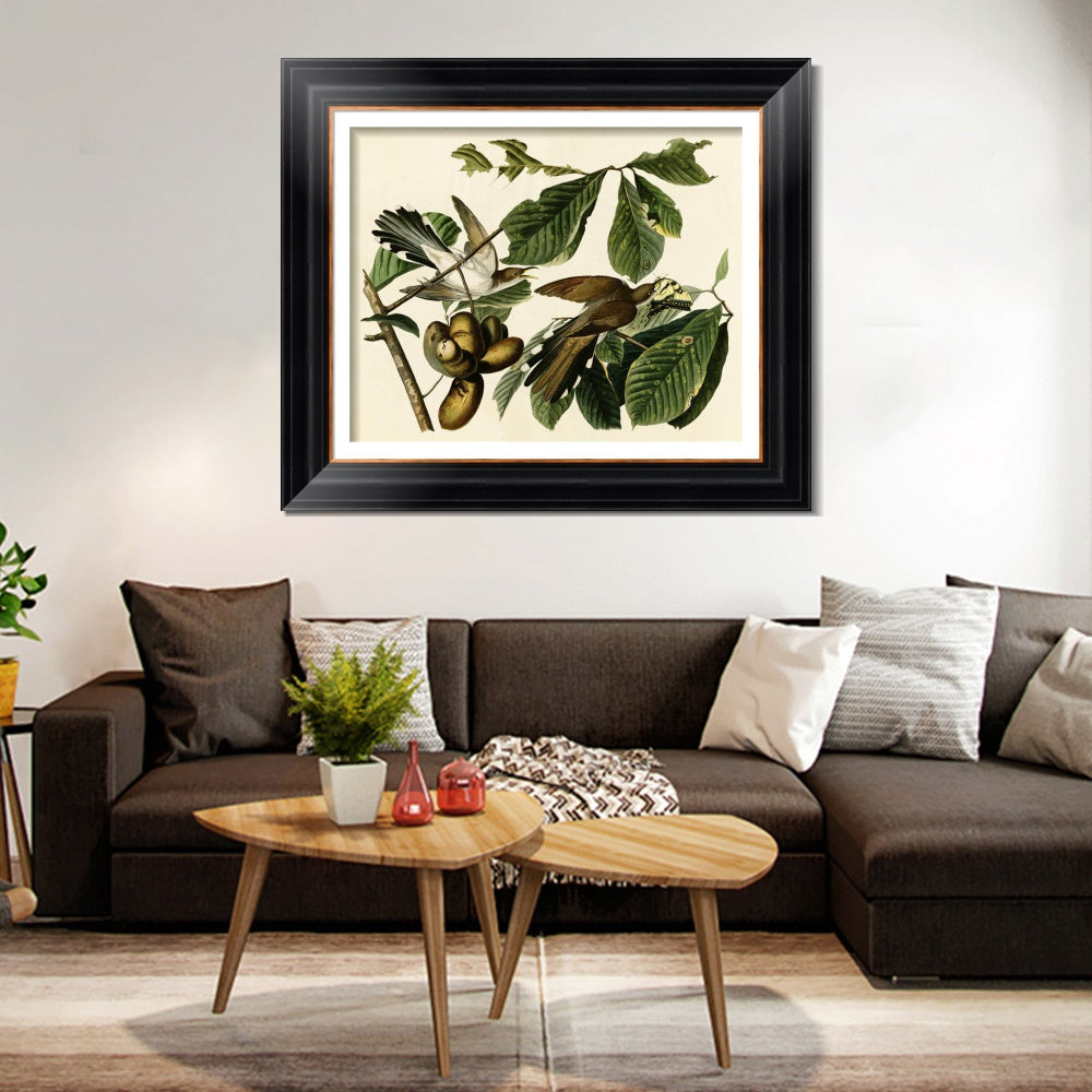 INVIN ART Framed Canvas Art Giclee Print Yellow Billed Cuckoo by John James Audubon  Home Office Wall Art Decorations