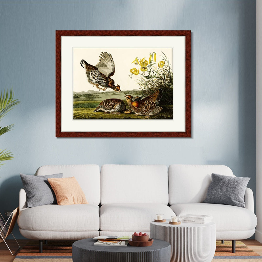 INVIN ART Framed Canvas Art Giclee Print Pinnated Grous by John James Audubon  Home Office Wall Art Decorations